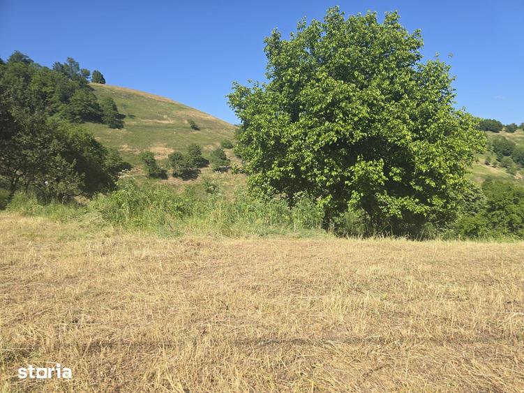Teren de 150000 mp, în Cerbăl