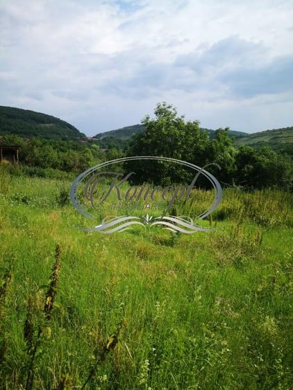 Teren Construcții intravilan de 773 mp, în Ciurila