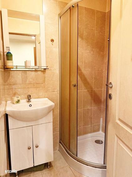 Apartament 1 camera la curte Iuliu Maniu - 3