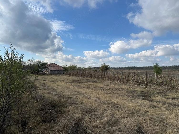 Teren intravilan de vanzare 1.200 mp Cazaci, Dambovi?a 30.000