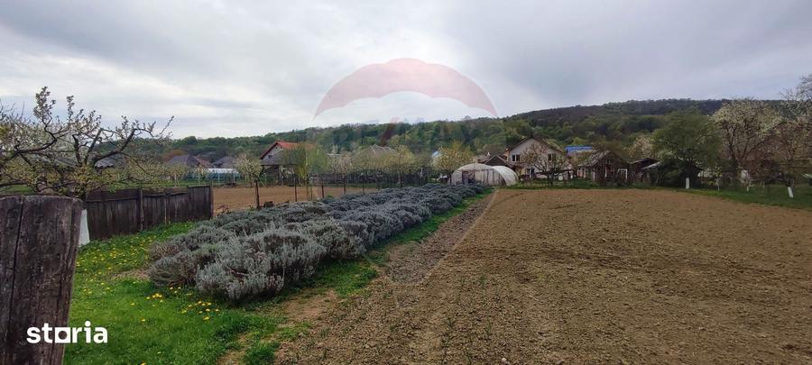 Casă cu 3 camere cu Teren 1361 Mp în Gârdani