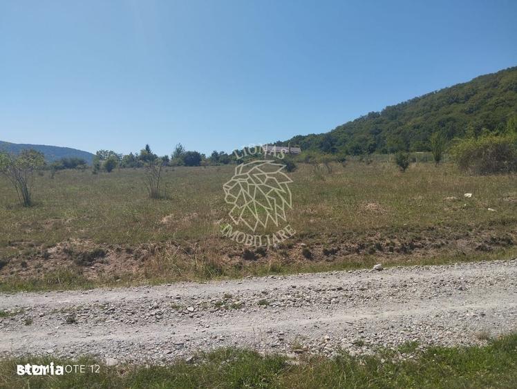 Teren intravilan 2900 mp cu utilitati-Zona MOL Viisoara - 2