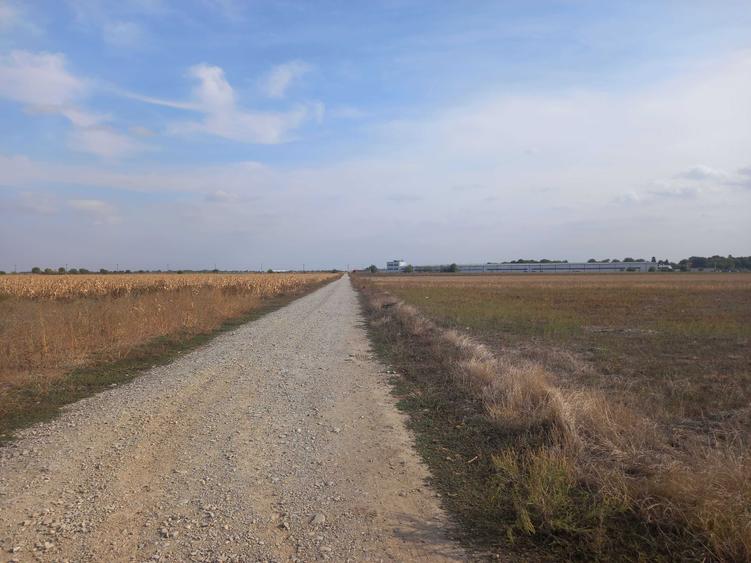 Teren de 10000 mp, în Dascălu