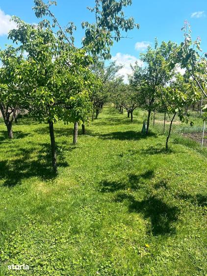 Casă cu 7 camere cu Teren 1783 Mp în Hărman