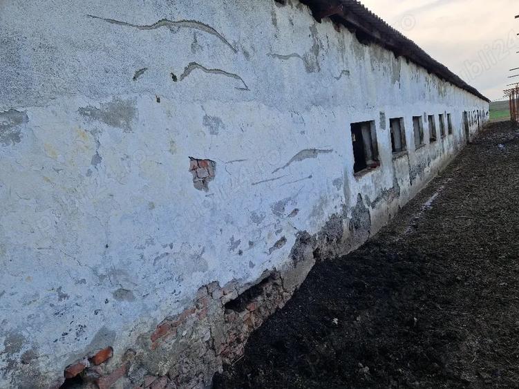 Teren de 15000 mp, în Cămărașu
