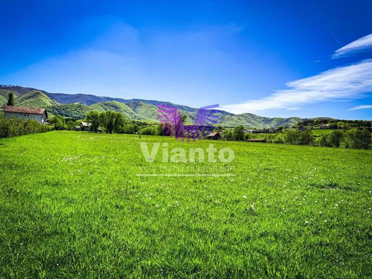 Teren Construcții intravilan de 1000 mp, în Sadu