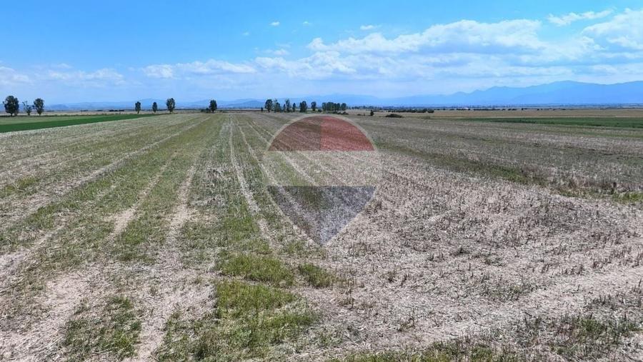 Teren agricol extravilan de 16661 mp, în Satu Nou