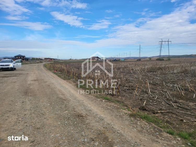 Teren de 8300 mp, în Central
