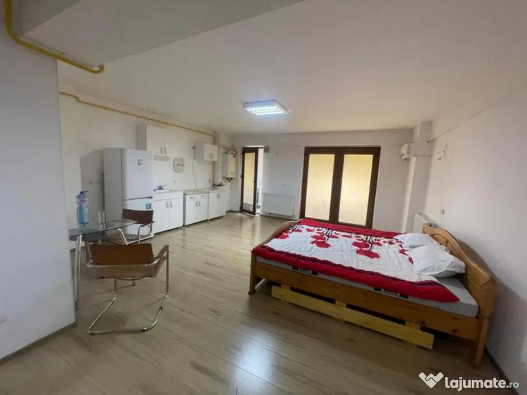 Garsonieră în Brazda lui Novac