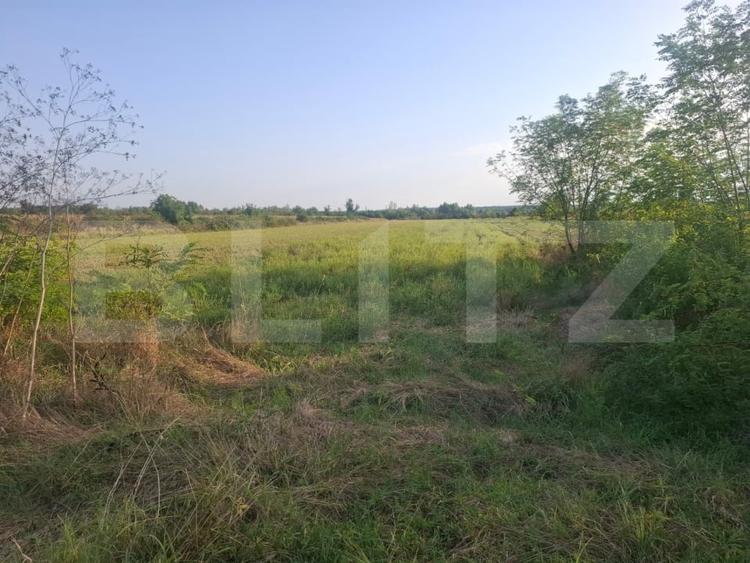 Teren Construcții extravilan de 5000 mp, în Viișoara