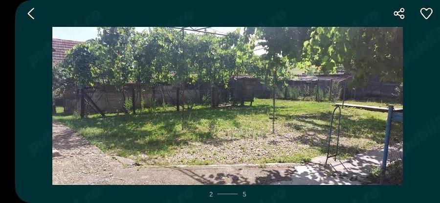 Casă cu Teren 12500 Mp în Valea