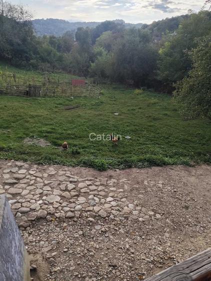 Teren intravilan 1.560 mp + casa 70 mp | Provita de Jos, jud. Prahova | Iesire la strada asfaltata | Priveliste frumoasa