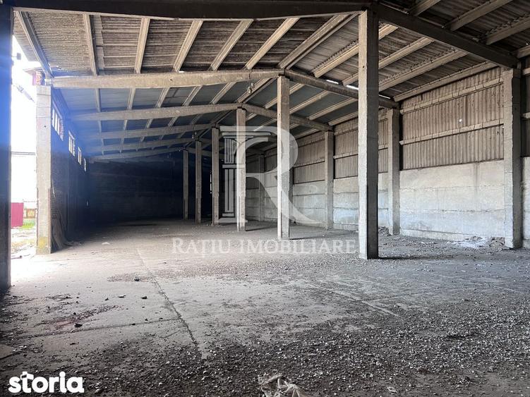 PLATFORMA INDUSTRIALA STRATEGICA IN ORADEA POTEN?IAL OPERATIONAL - 1