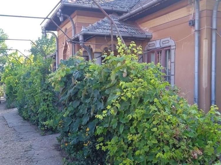 Casă individuală cu 5 camere cu Teren 4400 Mp în Giubega