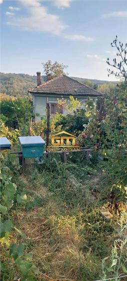 Casă individuală cu 3 camere cu Teren 1150 Mp în Nicolae Bălcescu