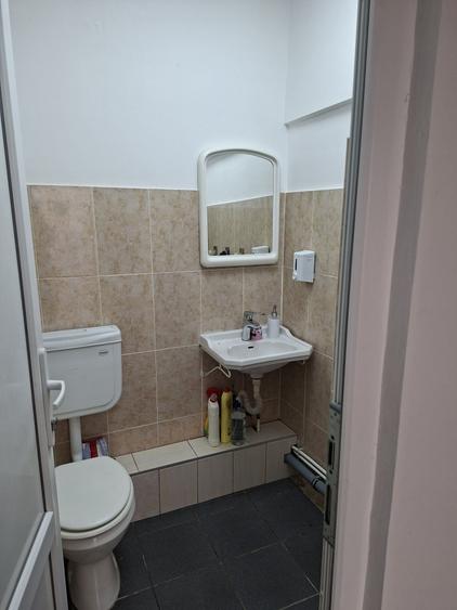 Spatiu comercial Pictor Aman - 3