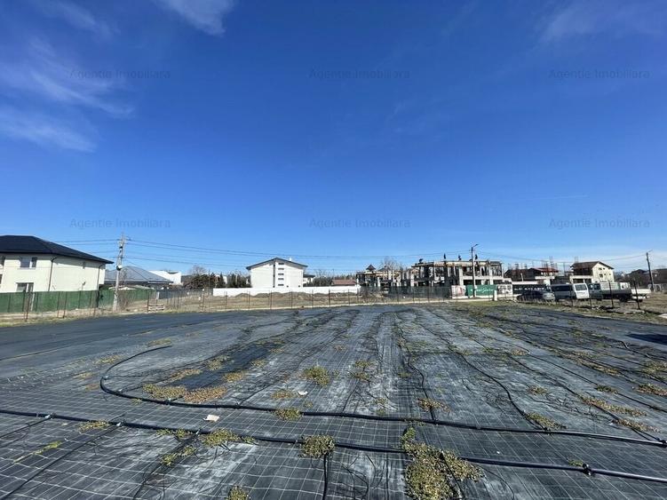 Teren Construcții intravilan de 4493 mp, în Mogoșoaia