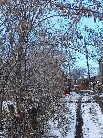 Teren de 2500 mp, în Dealu Cucului