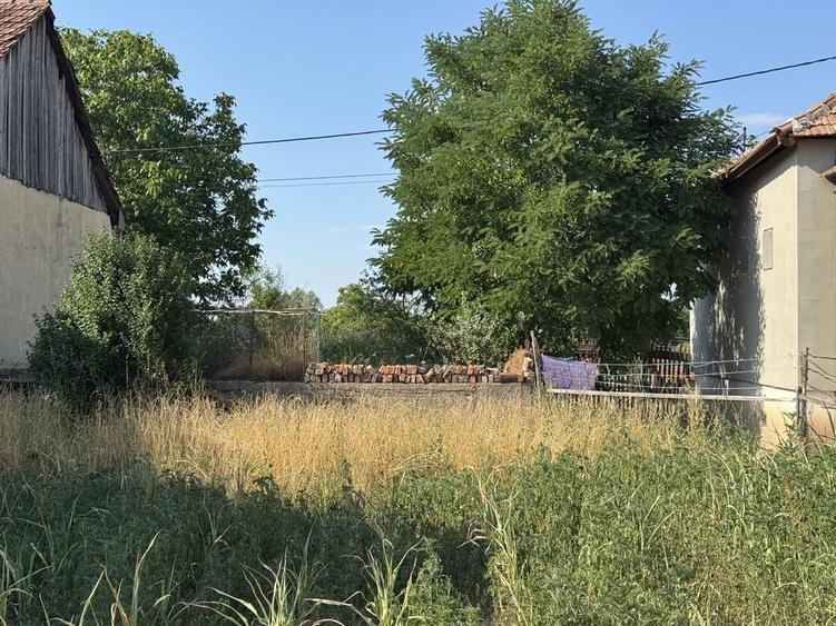 Spațiu comercial, în Păntășești