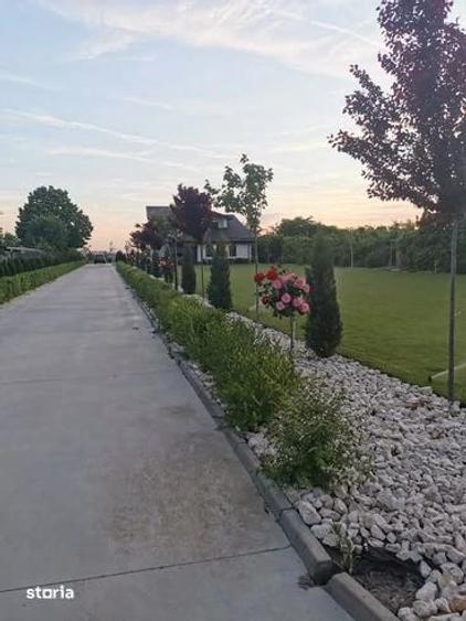 Casă cu Teren 6600 Mp în Ulmi