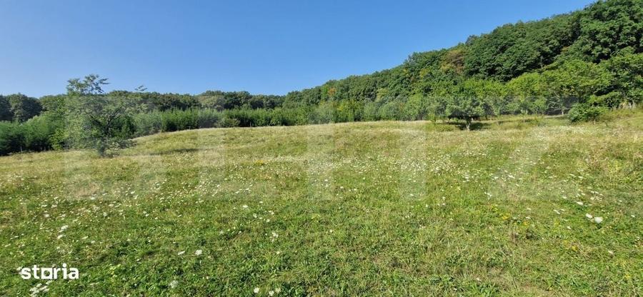 Teren de vanzare, 1Ha in apropiere de cartierul RAAL - 4
