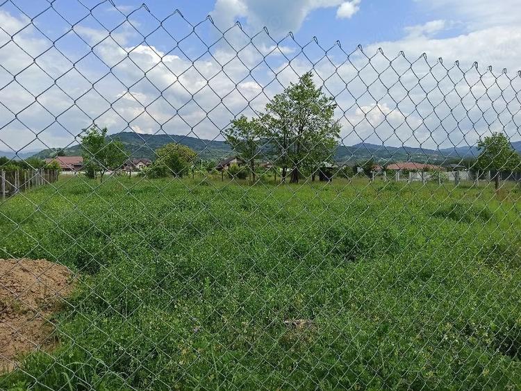Teren de 1300 mp, în Bujoreni