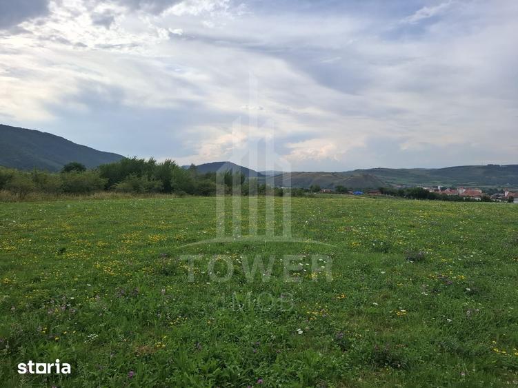 Teren de 1500 mp, în Orlat
