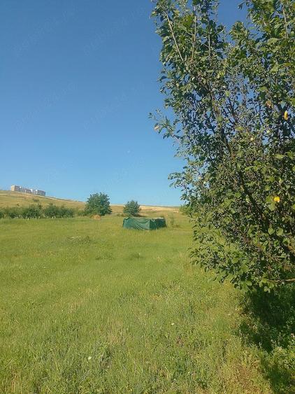 Teren de 3000 mp, în Sopor