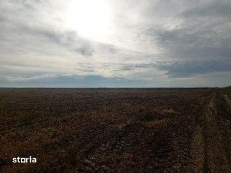 Teren de 5000 mp, în Lunca