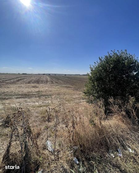 Teren de 7400 mp, în Central