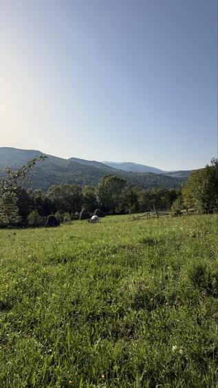 Spațiu comercial, în Valea Doftanei
