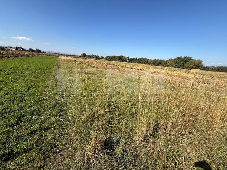 Teren Construcții intravilan de 2200 mp, în Volovăț