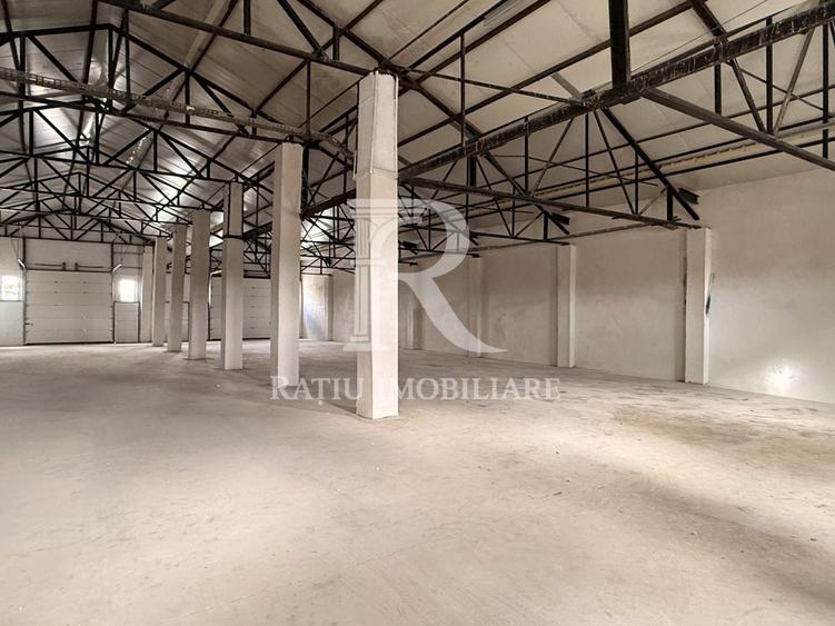Spațiu industrial, de 540 mp, în Livada de Bihor