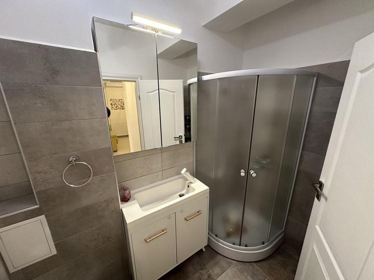 Apartament 2 camere Salcamilor Mega Image Chiajna - 6
