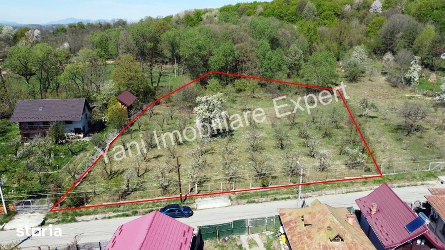 Teren de 3851 mp, în Curtea de Argeș