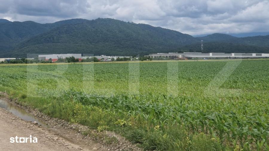 Teren de 12000 mp, în Central