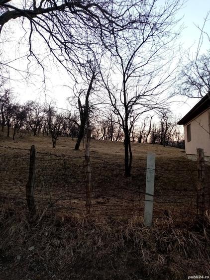 Teren de 1600 mp, în Lunca (Moroeni)