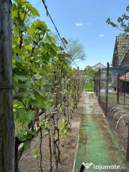 Casă cu 3 camere cu Teren 900 Mp în Lascăr Catargiu