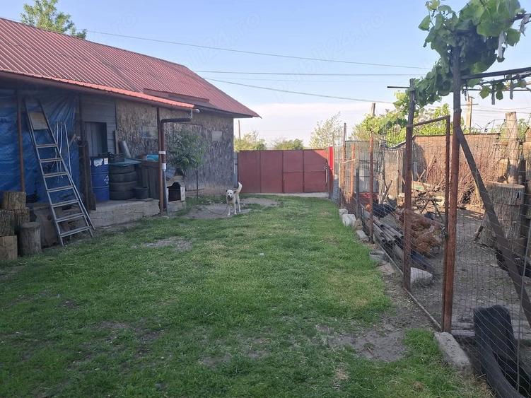 Casă cu 3 camere cu Teren 1300 Mp în Viișoara