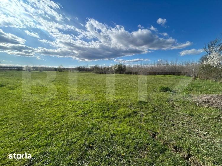 Teren de 2000 mp, în Dragomirești