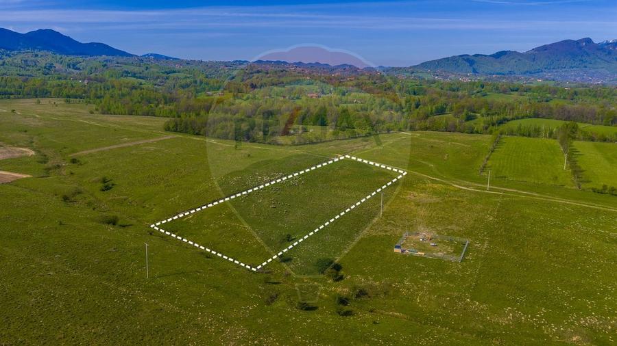 Teren agricol extravilan de 10000 mp, în Glăjărie