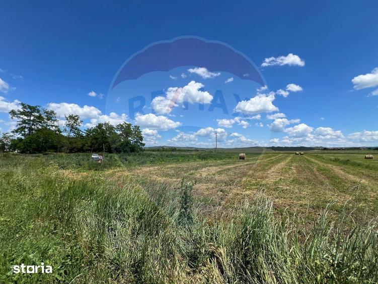 Teren de 2900 mp, în Jucu