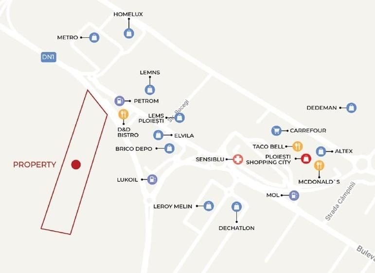 Teren Construcții intravilan de 82000 mp, în Păulești