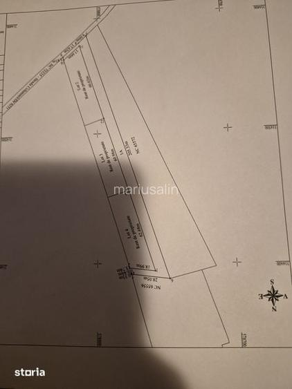 Vand teren magurele pruni