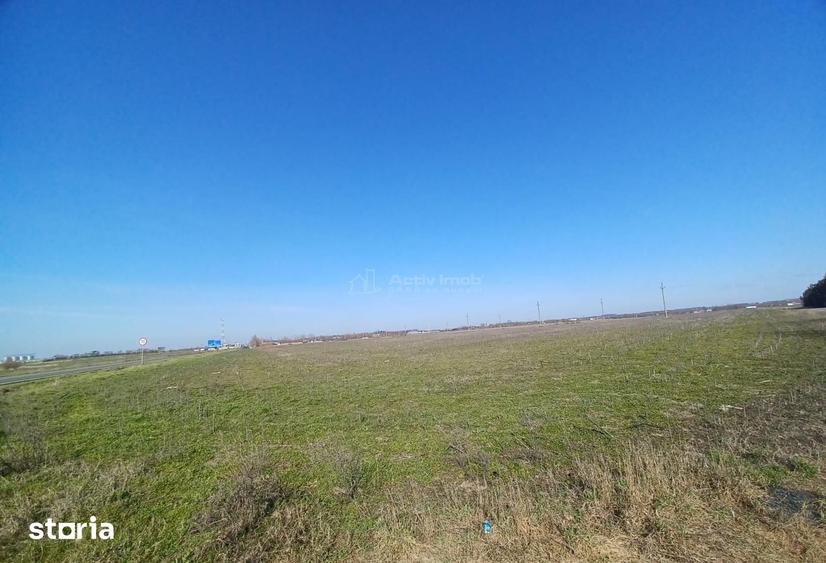 Teren de 125000 mp, în Central