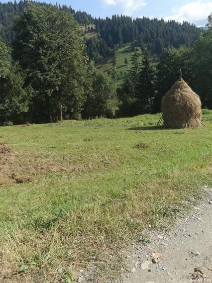 Teren de 1780 mp, în Central