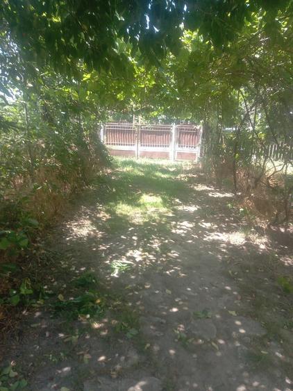 Casă cu Teren 1450 Mp în Central