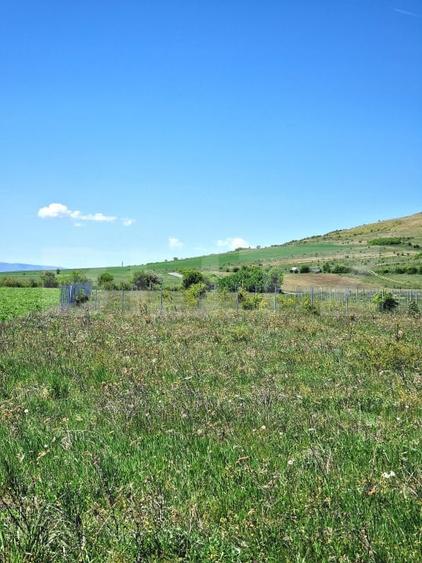 Teren agricol extravilan de 1000 mp, în Florești