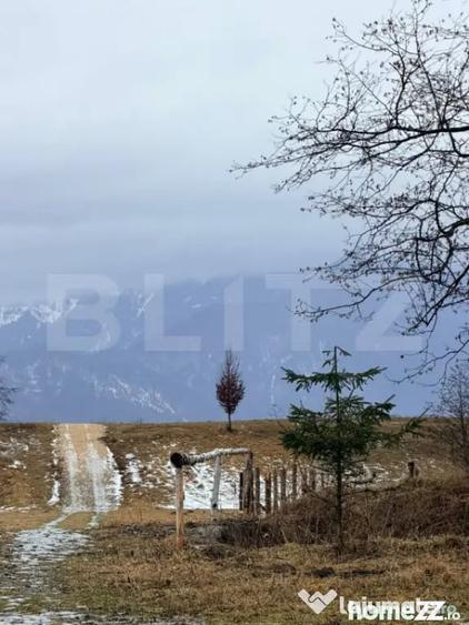 Teren de 80000 mp, în Glăjărie