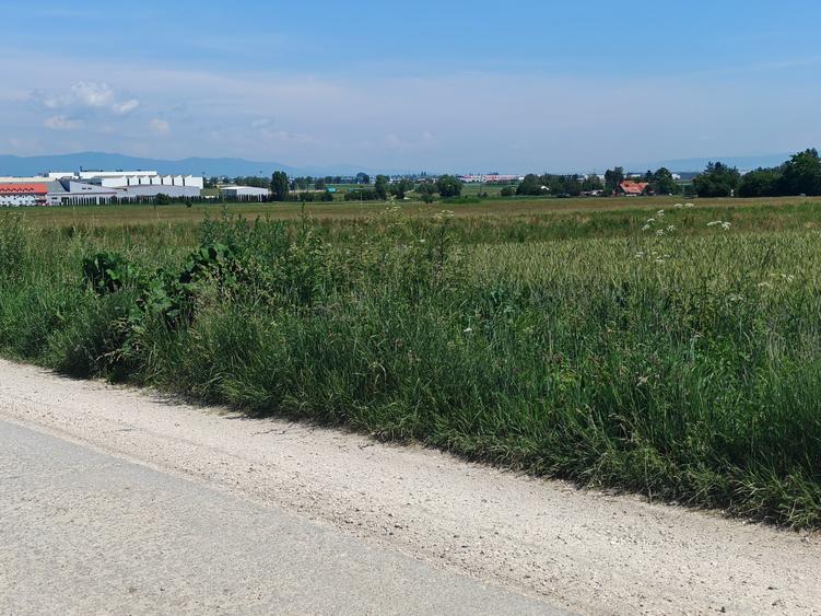 Teren Construcții intravilan de 16000 mp, în Cristian